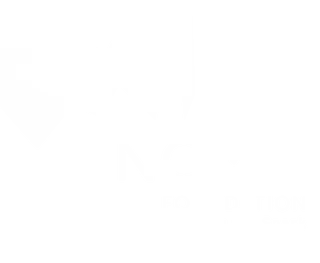 NOMIS Foundation Logo